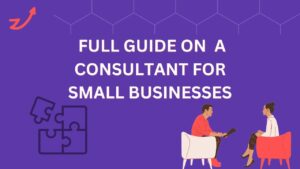 Business Consultant for Small Businesses